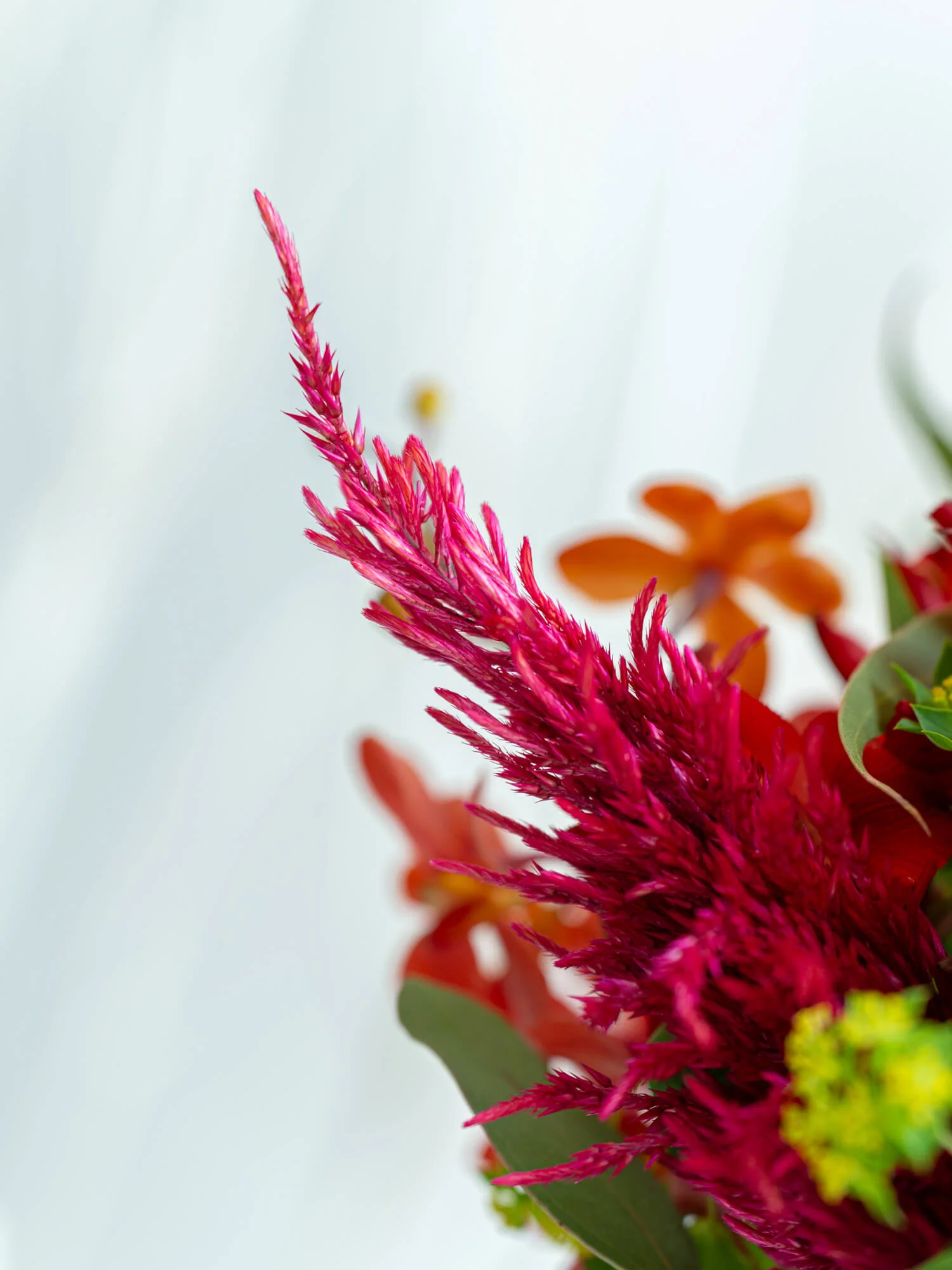 フローリストにおまかせ 季節の花束 L - レッド - - Image 13