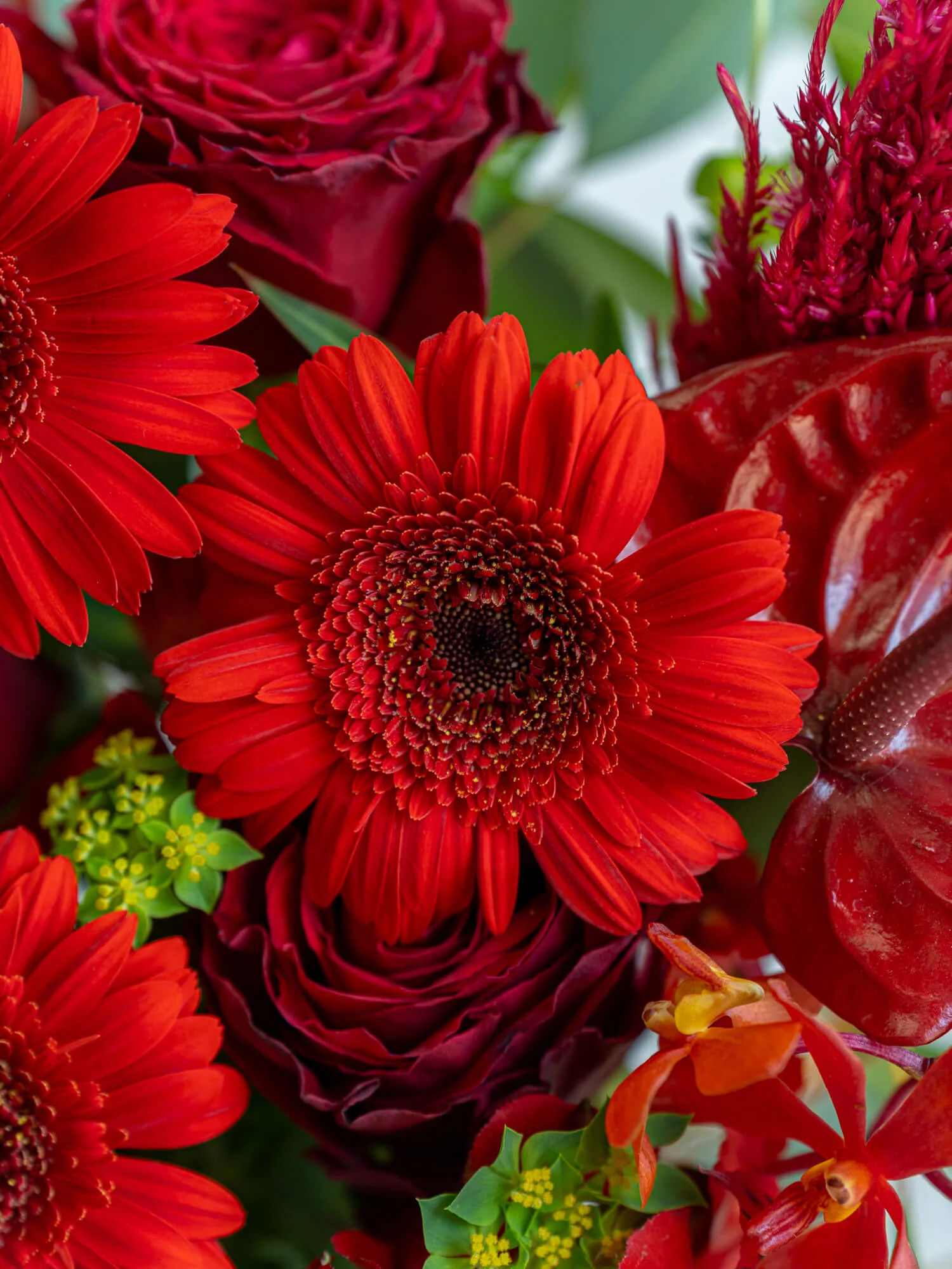 フローリストにおまかせ 季節の花束 L - レッド - - Image 14