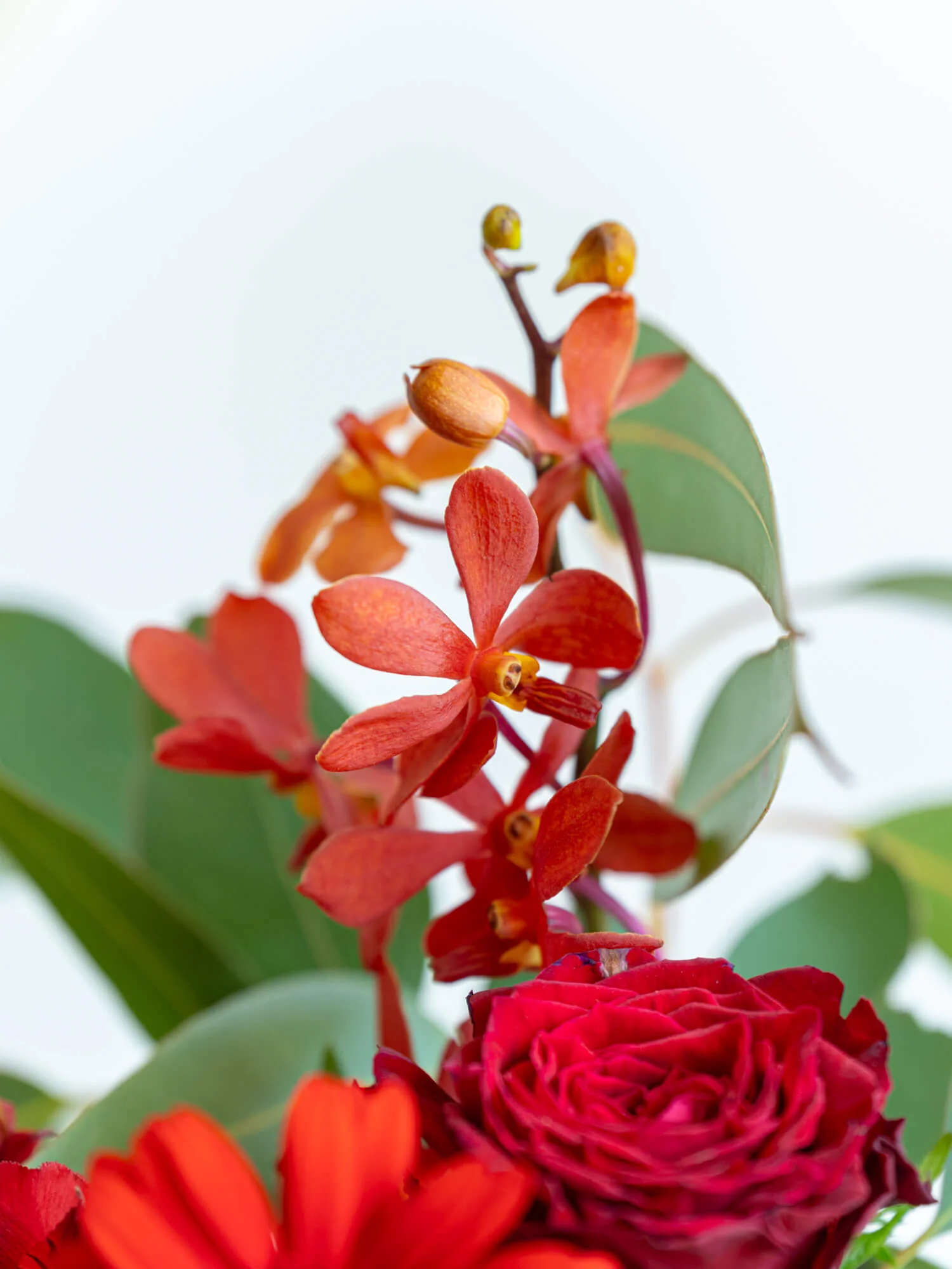 フローリストにおまかせ 季節の花束 L - レッド - - Image 16