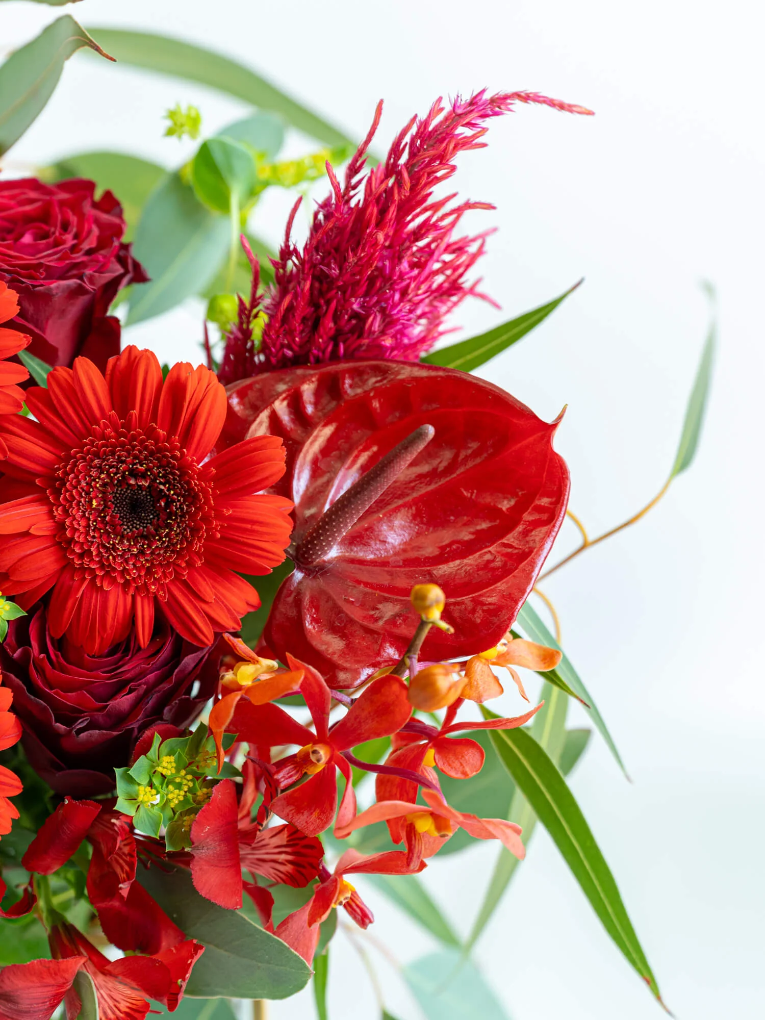フローリストにおまかせ 季節の花束 L - レッド - - Image 19