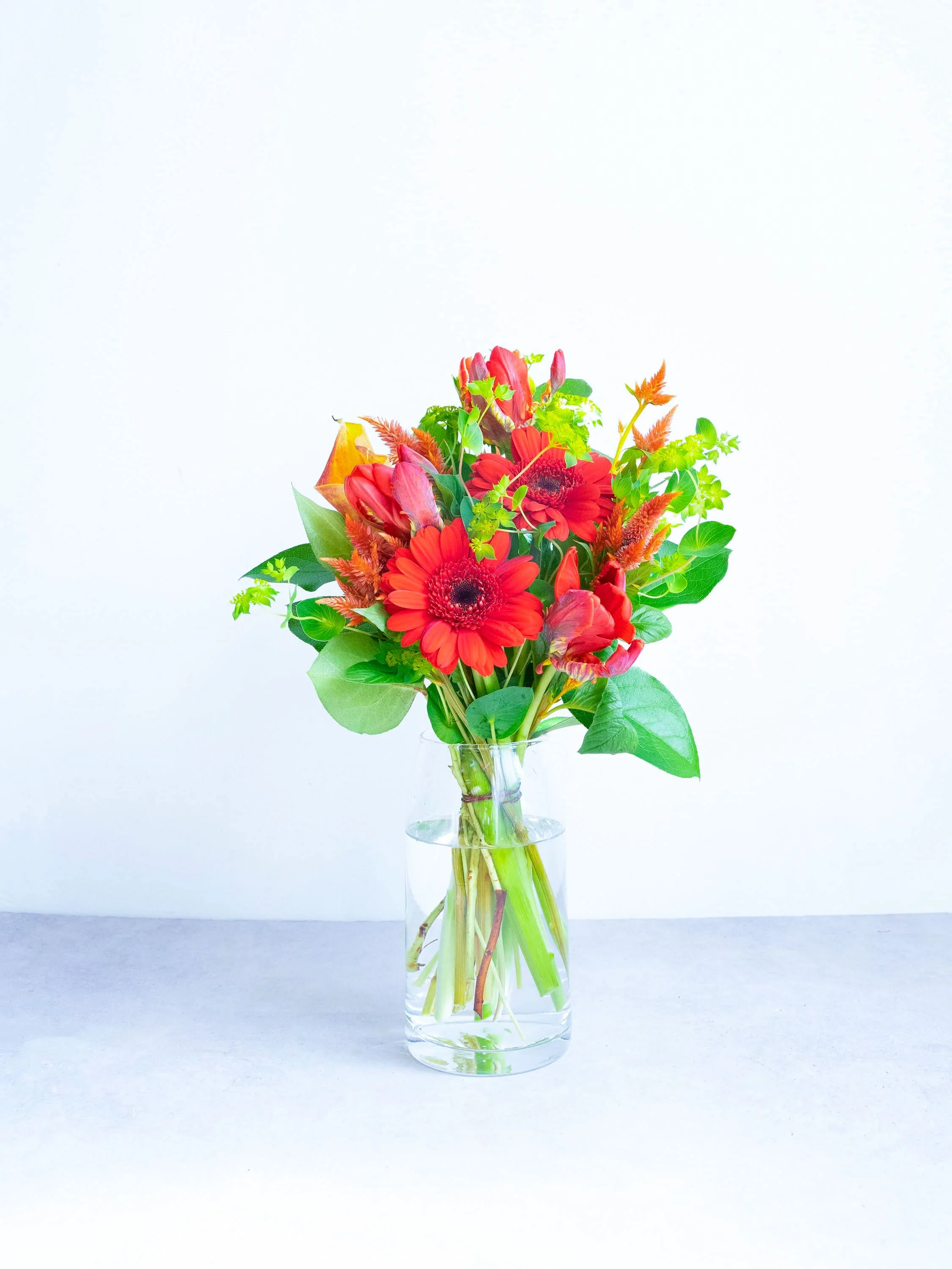 【誕生日ギフト】 フローリストにおまかせ 季節の花束 M - レッド - - Image 20