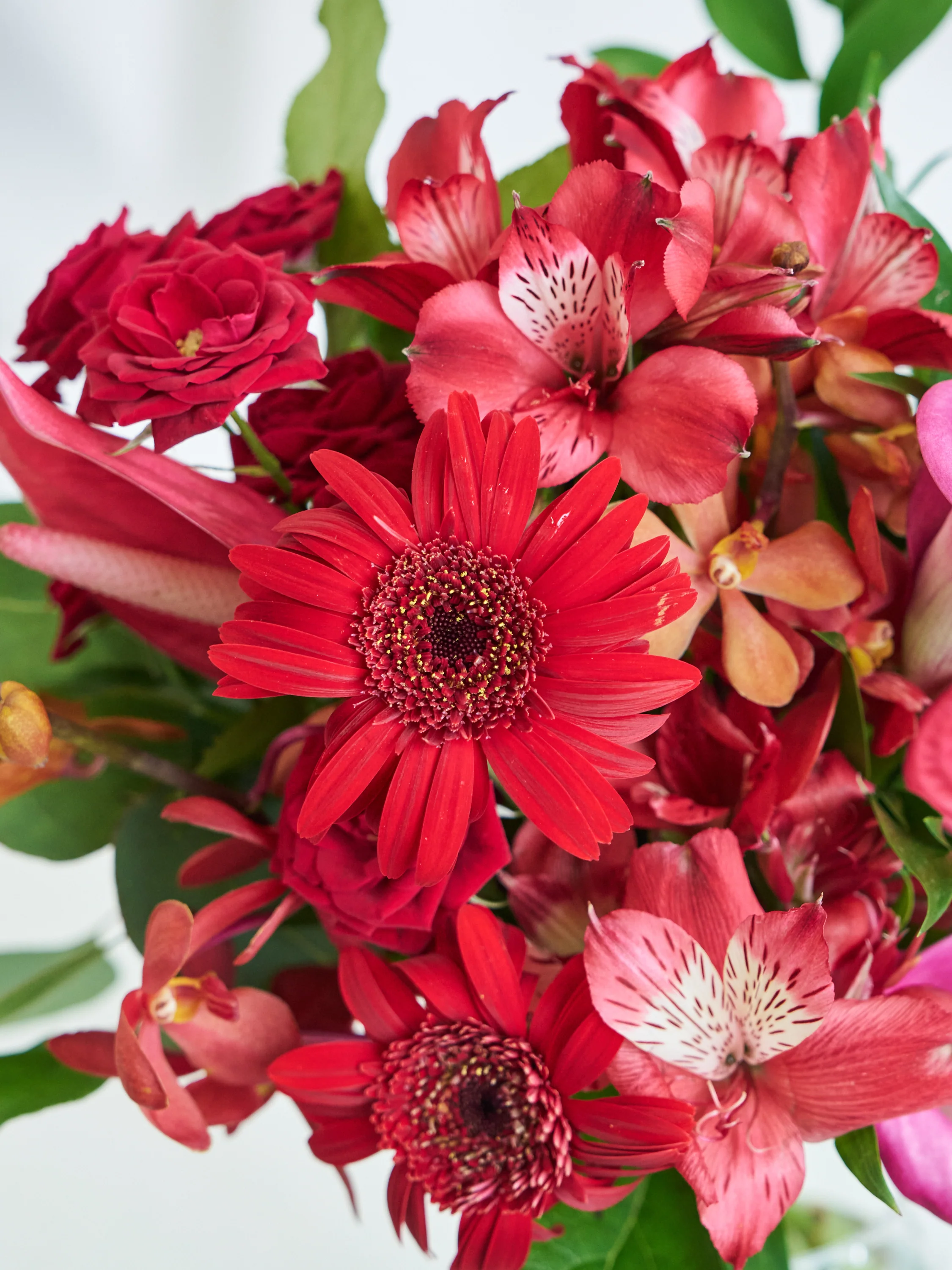 フローリストにおまかせ 季節の花束 M - レッド - - Image 4