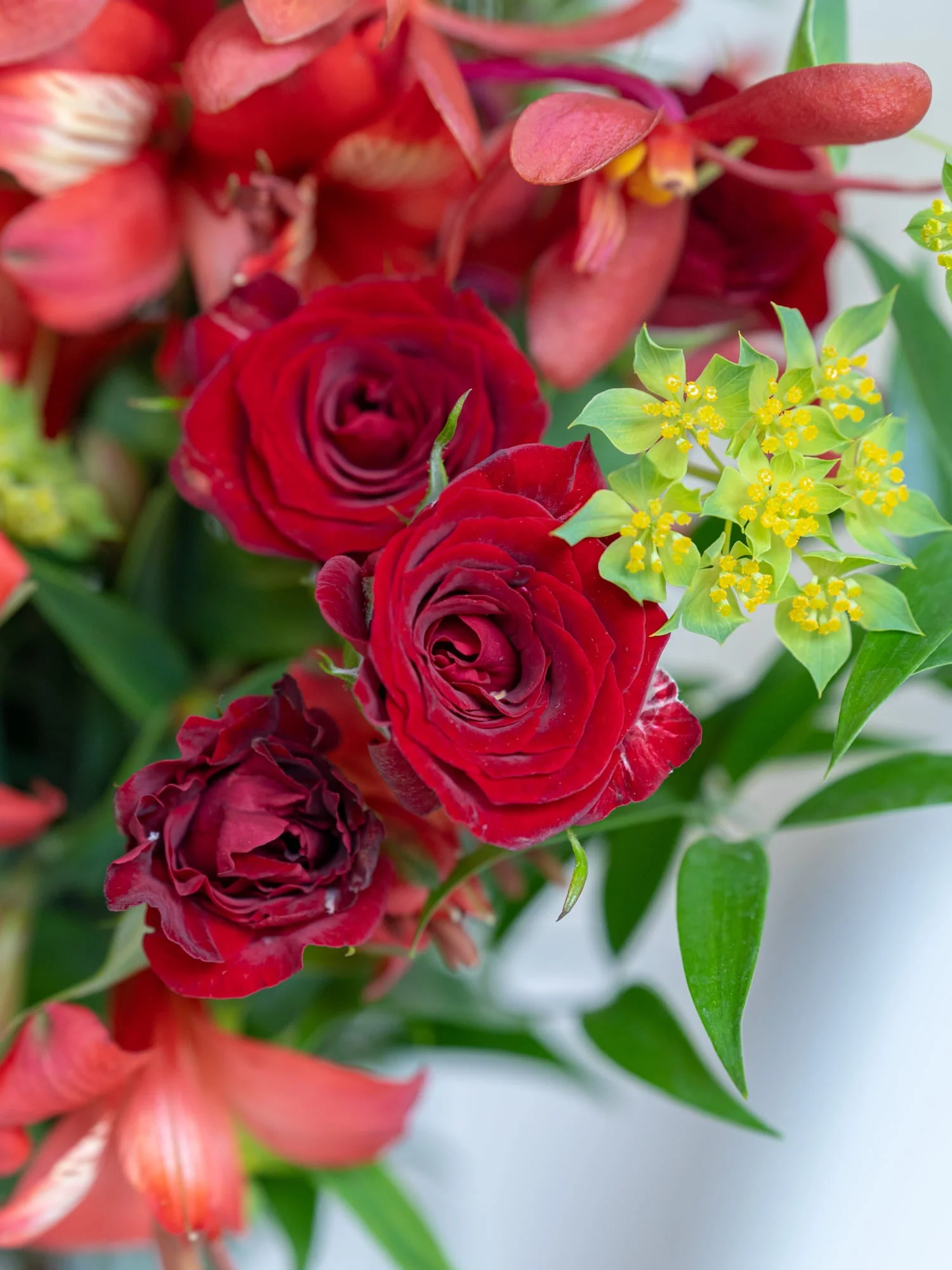 【誕生日ギフト】 フローリストにおまかせ 季節の花束 M - レッド - - Image 8