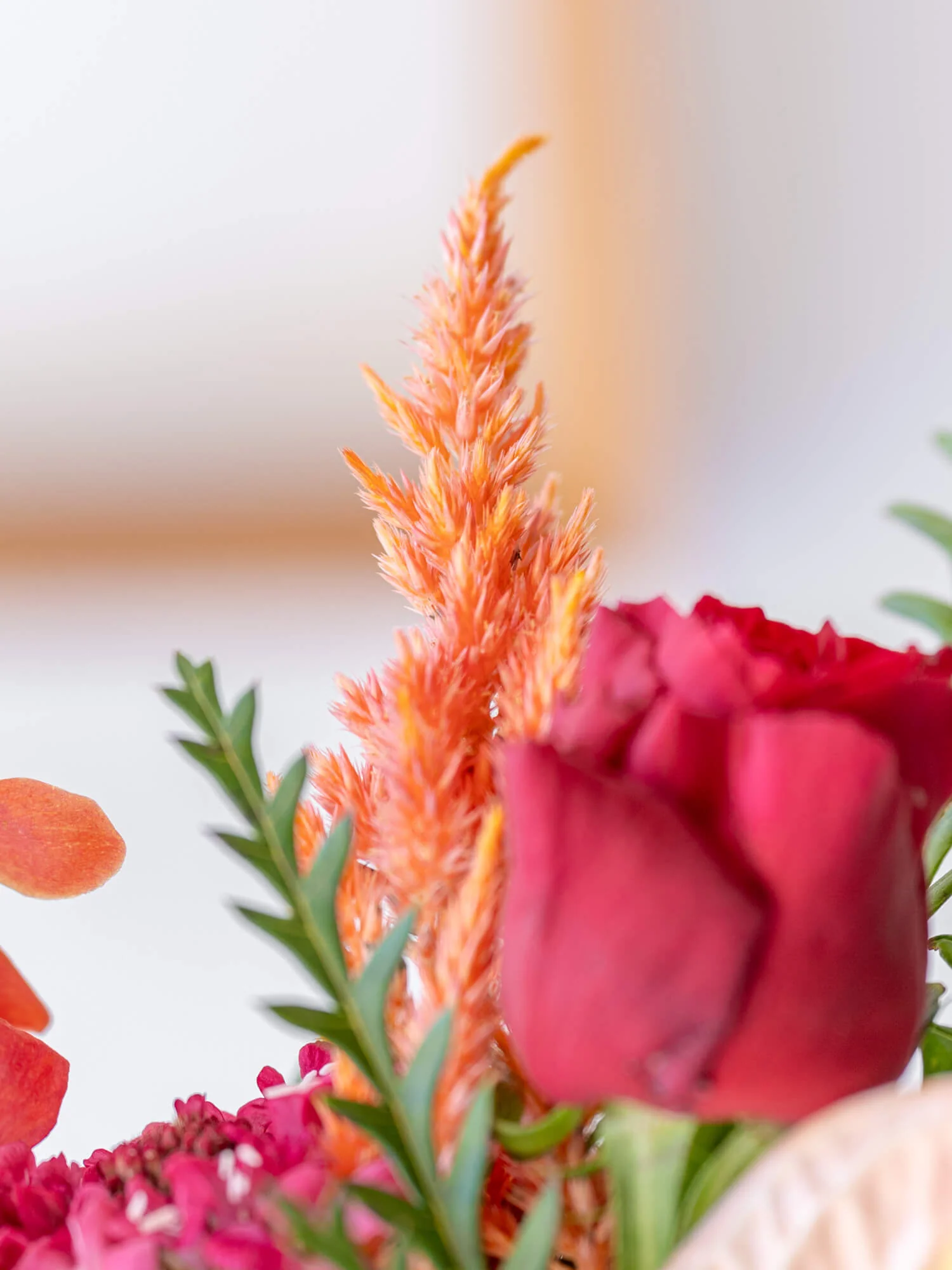フローリストにおまかせ 季節の花束 S - レッド - - Image 12