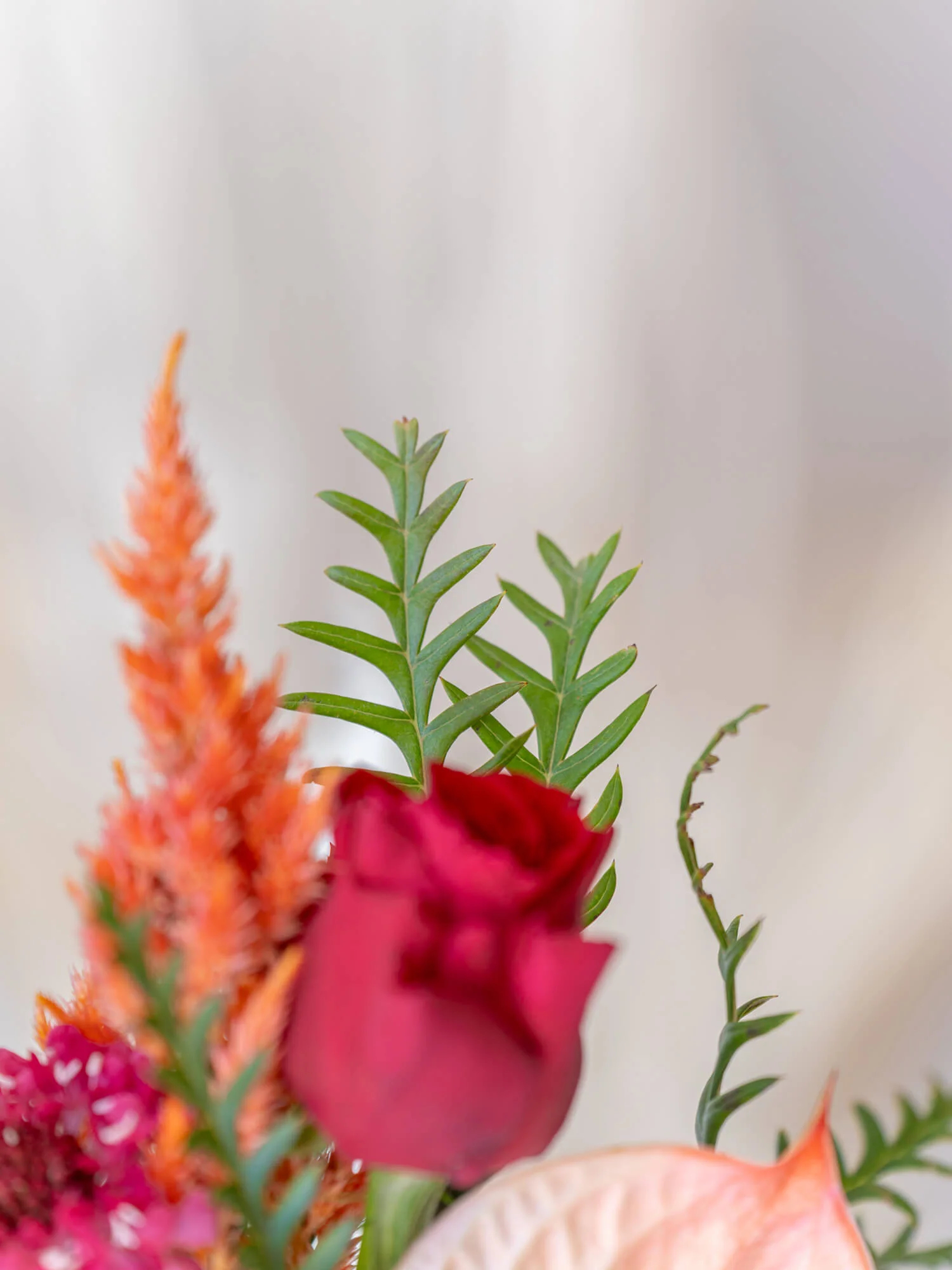 フローリストにおまかせ 季節の花束 S - レッド - - Image 16