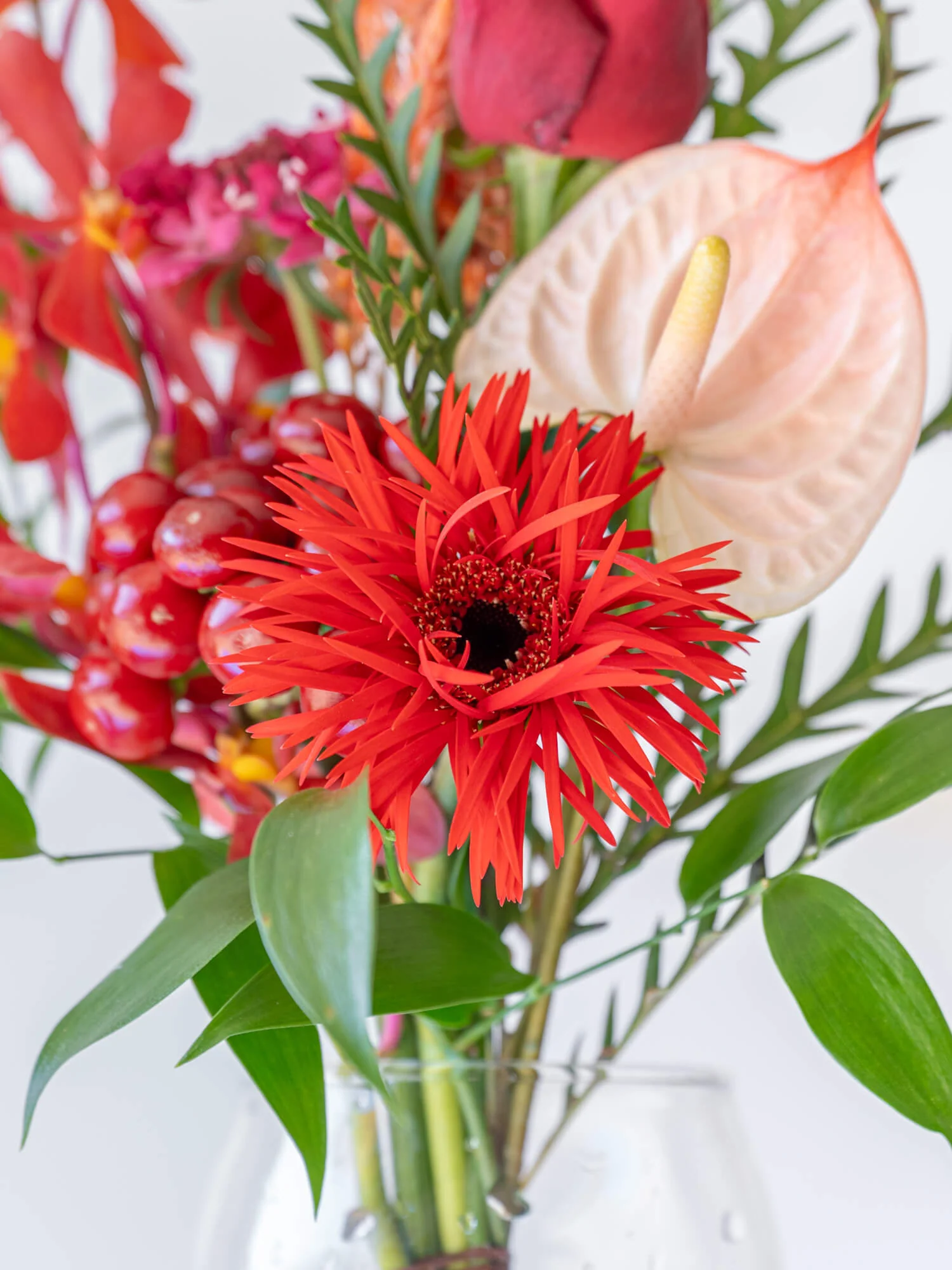 【誕生日ギフト】 フローリストにおまかせ 季節の花束 S - レッド - - Image 5