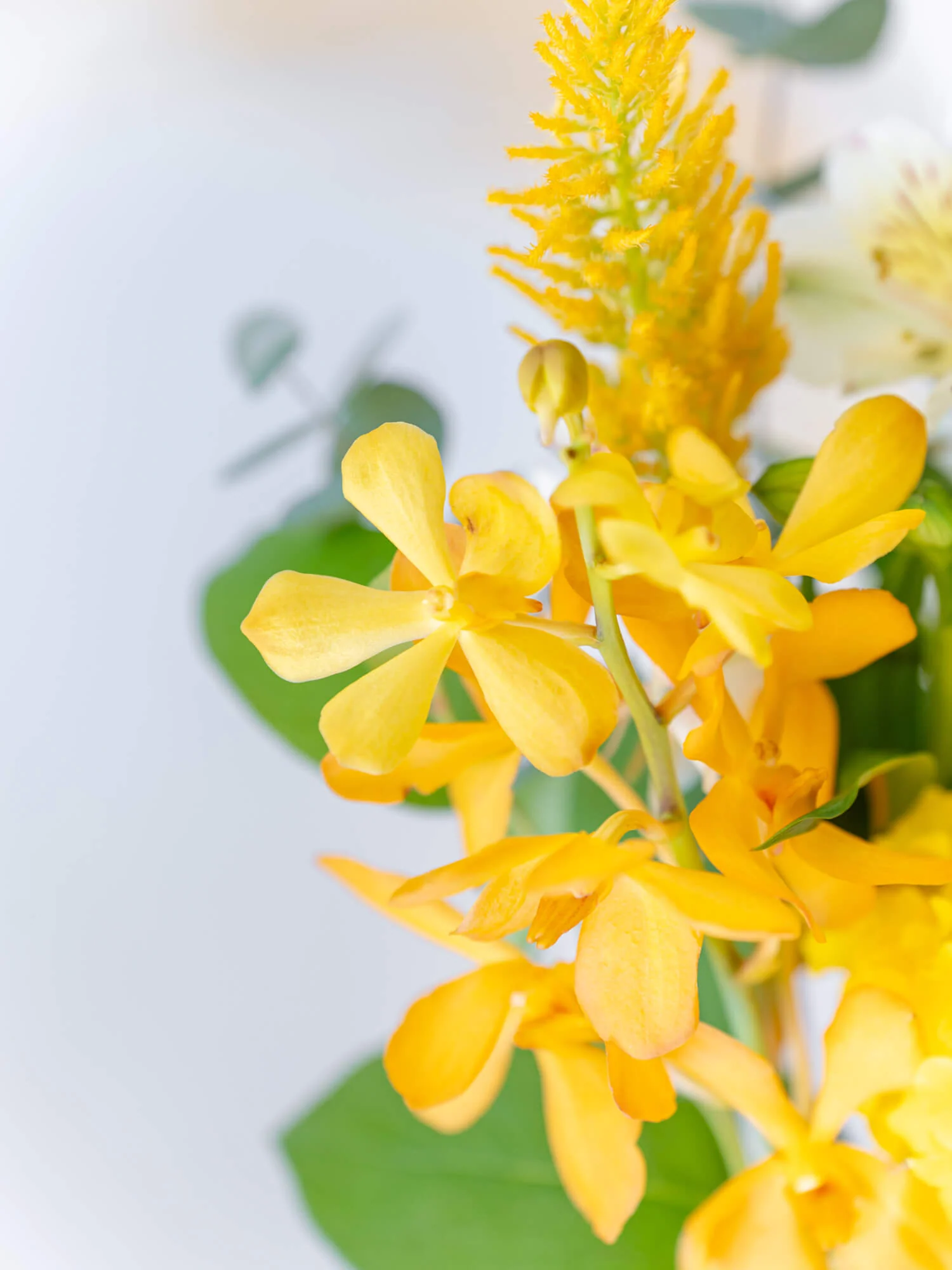 フローリストにおまかせ 季節の花束 S - イエロー - - Image 11