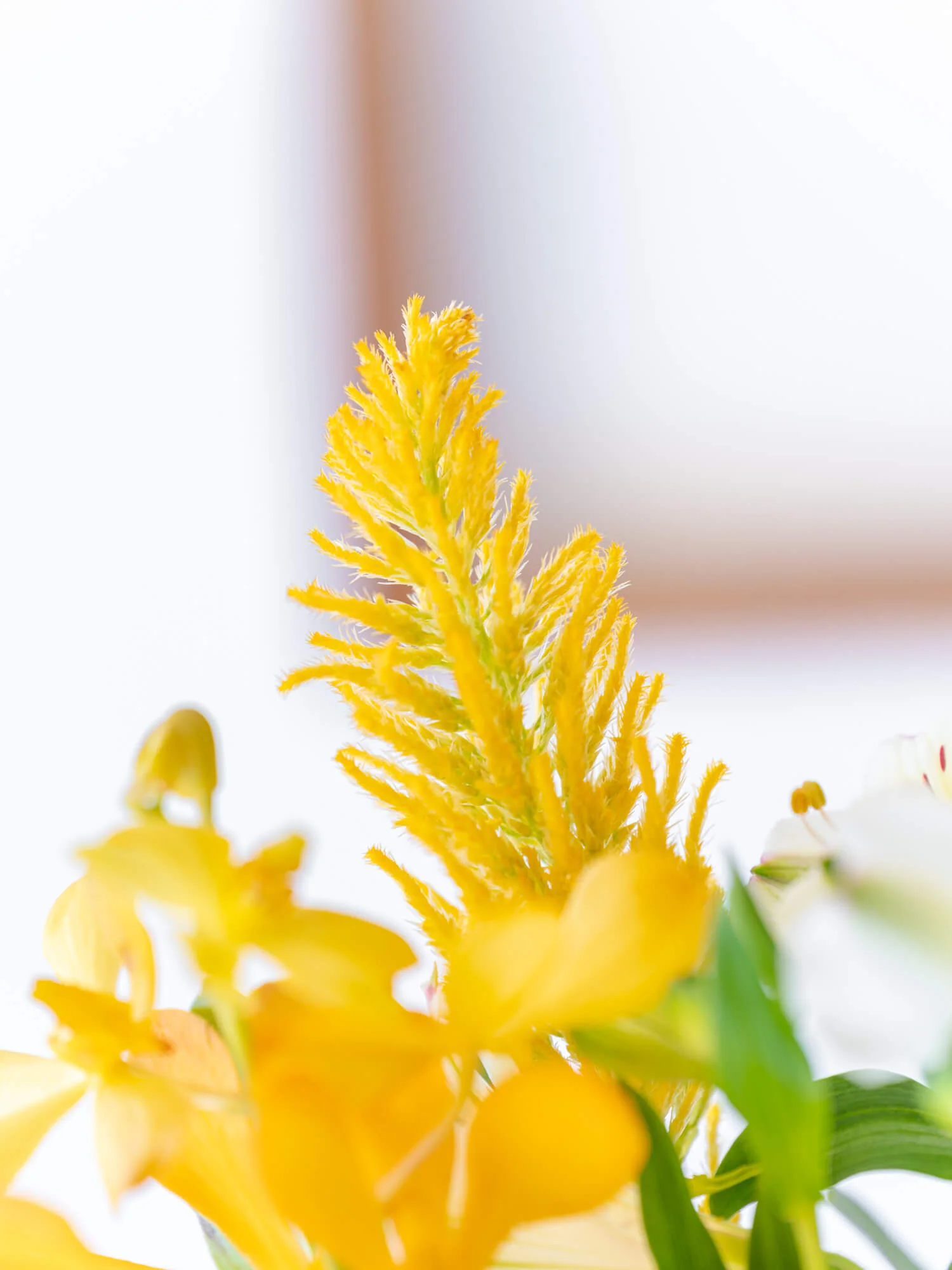 フローリストにおまかせ 季節の花束 S - イエロー - - Image 14