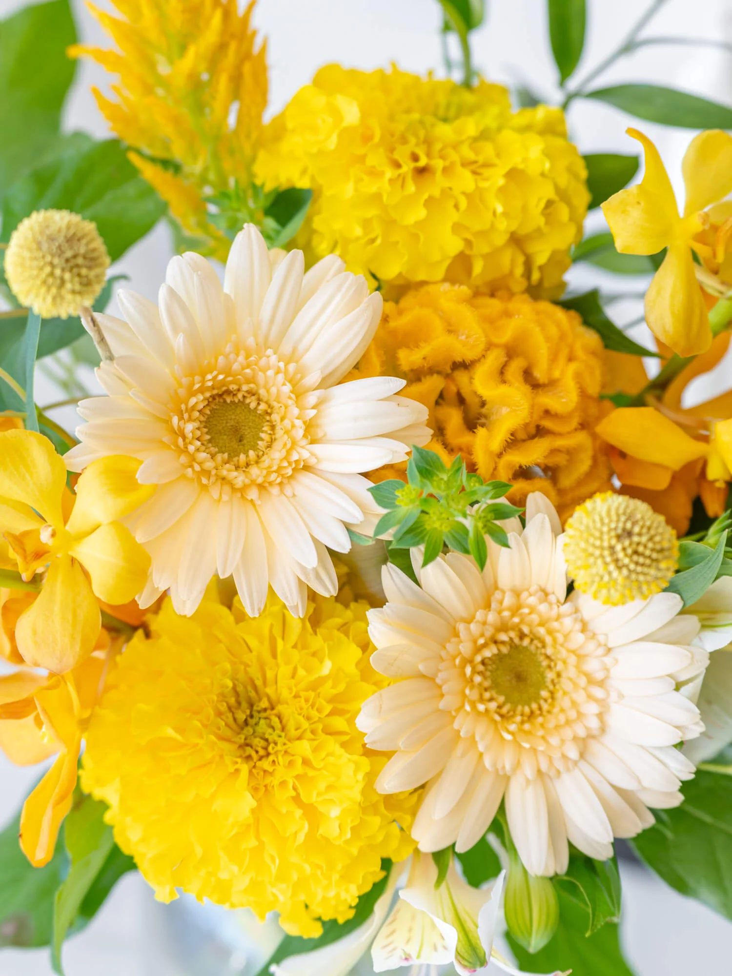 フローリストにおまかせ 季節の花束 M - イエロー - - Image 18