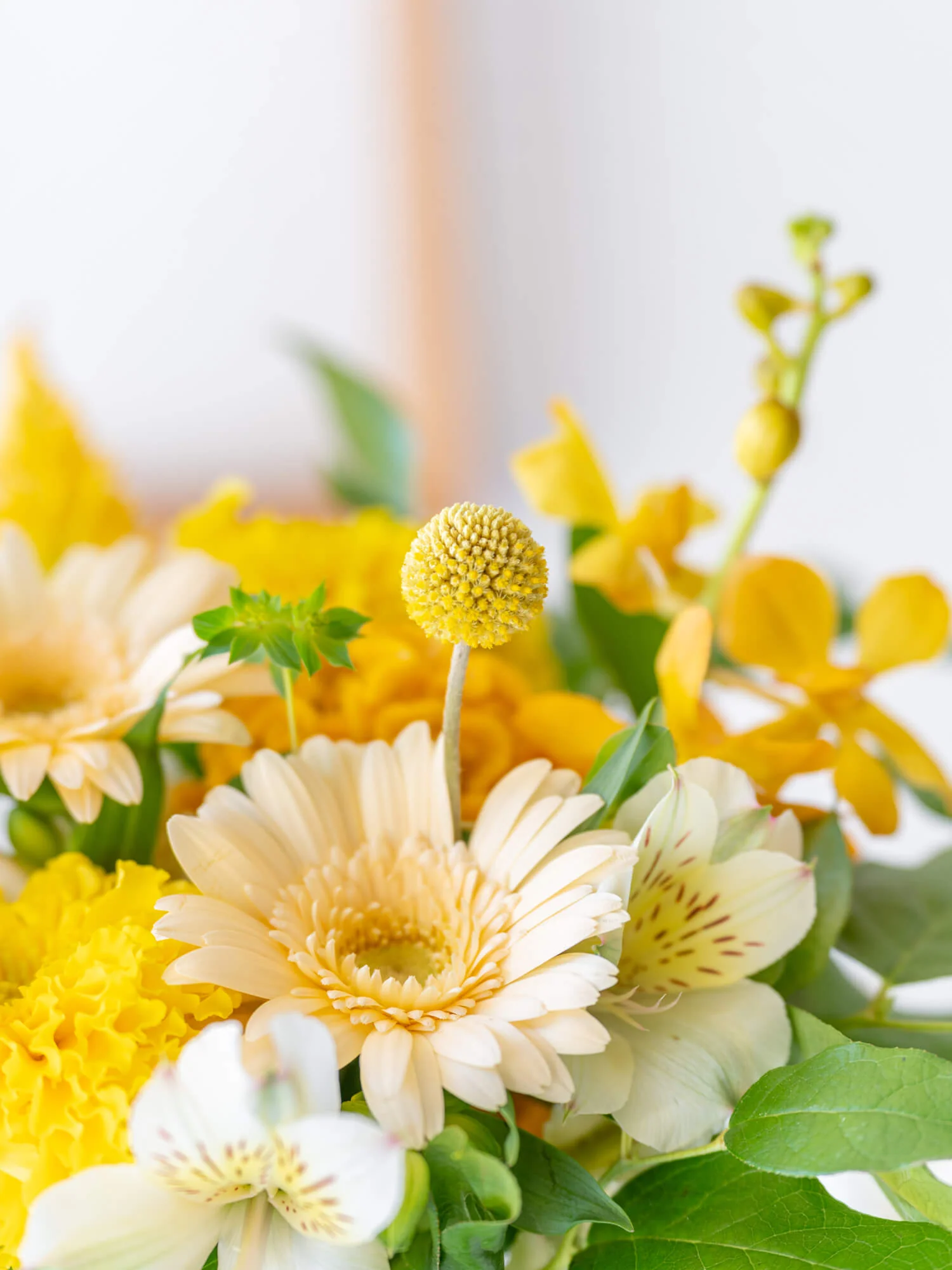 【誕生日ギフト】 フローリストにおまかせ 季節の花束 M - イエロー - - Image 13