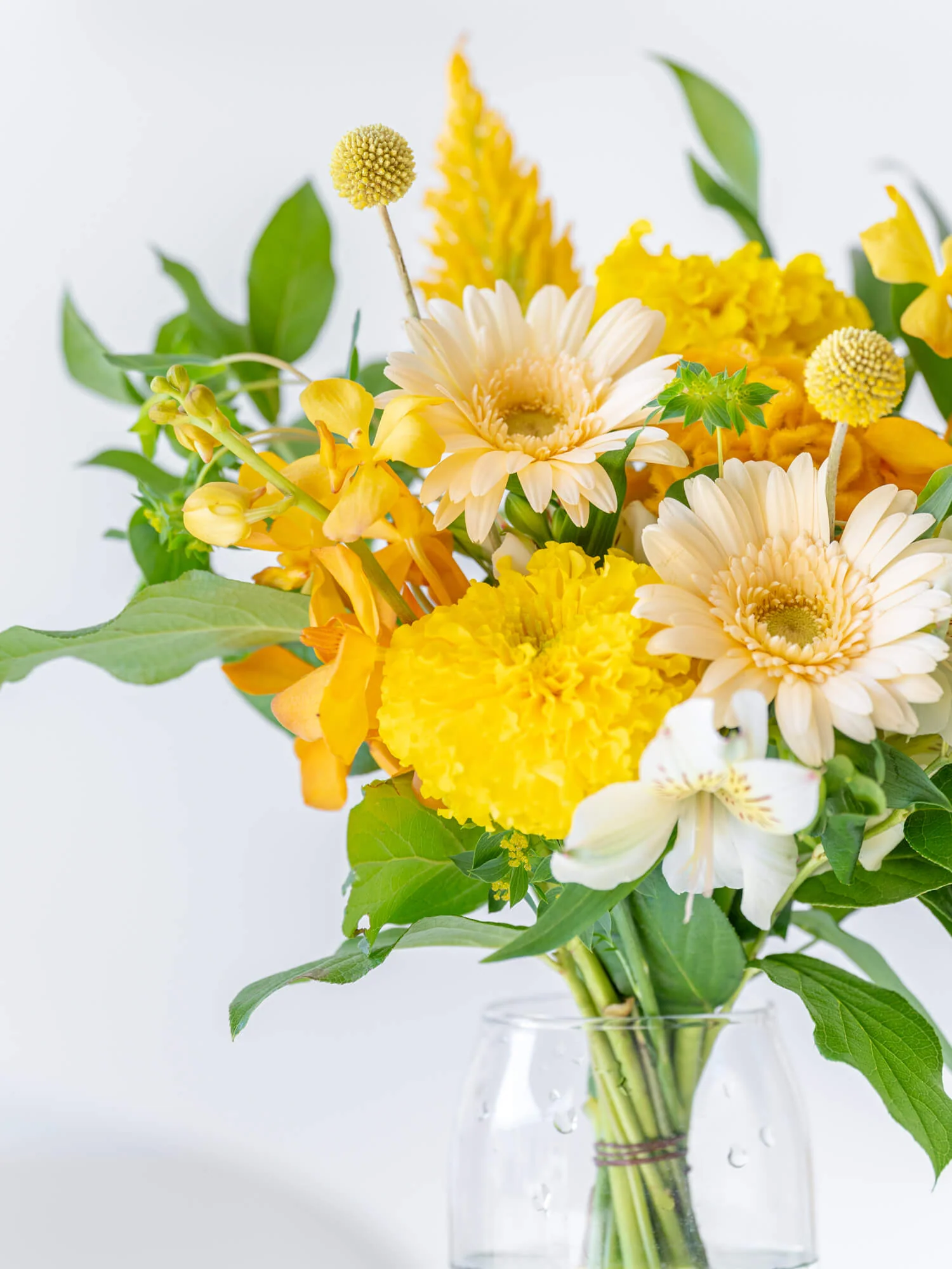 【誕生日ギフト】 フローリストにおまかせ 季節の花束 M - イエロー - - Image 6