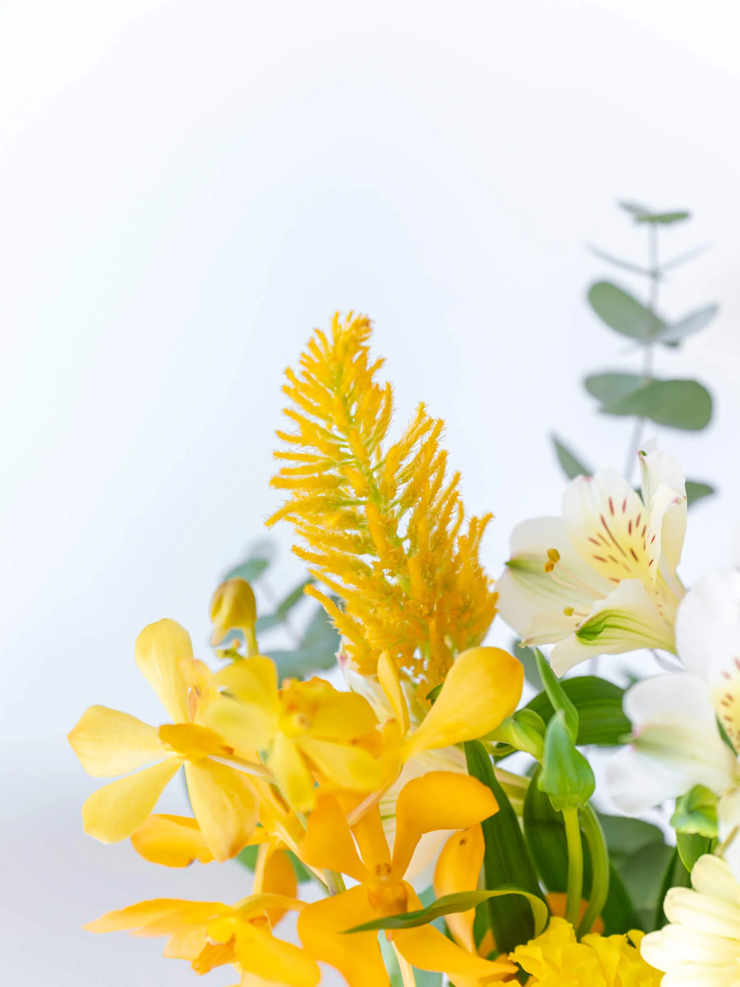フローリストにおまかせ 季節の花束 S - イエロー - - Image 10