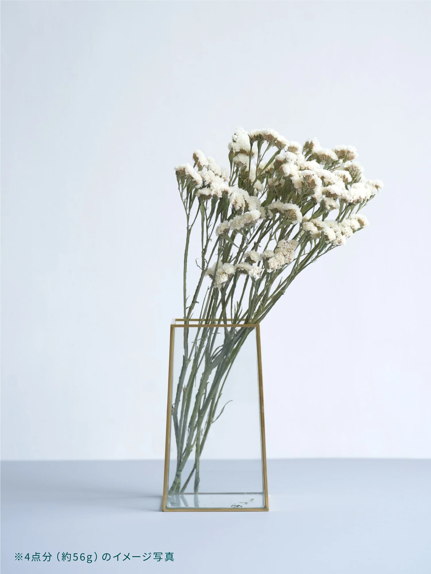 ドライ花材 スターチス ホワイト - Image 6