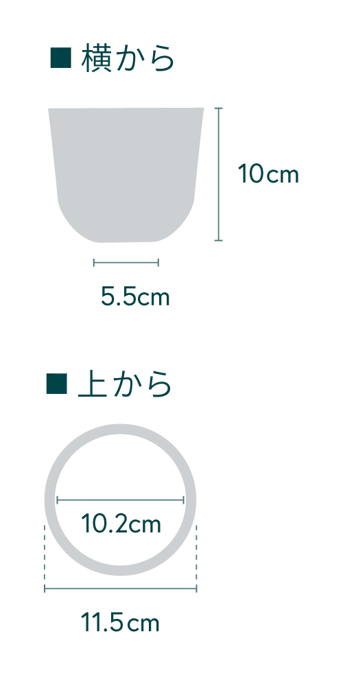 グラプトベリア・ピンクルルビー Table-S - Image 28