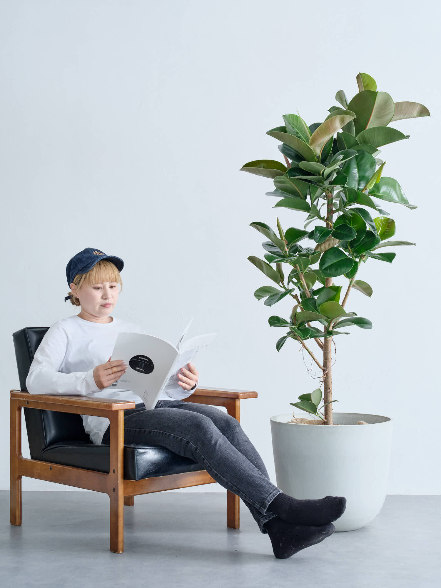 フィカス・ソフィア XL - Image 13