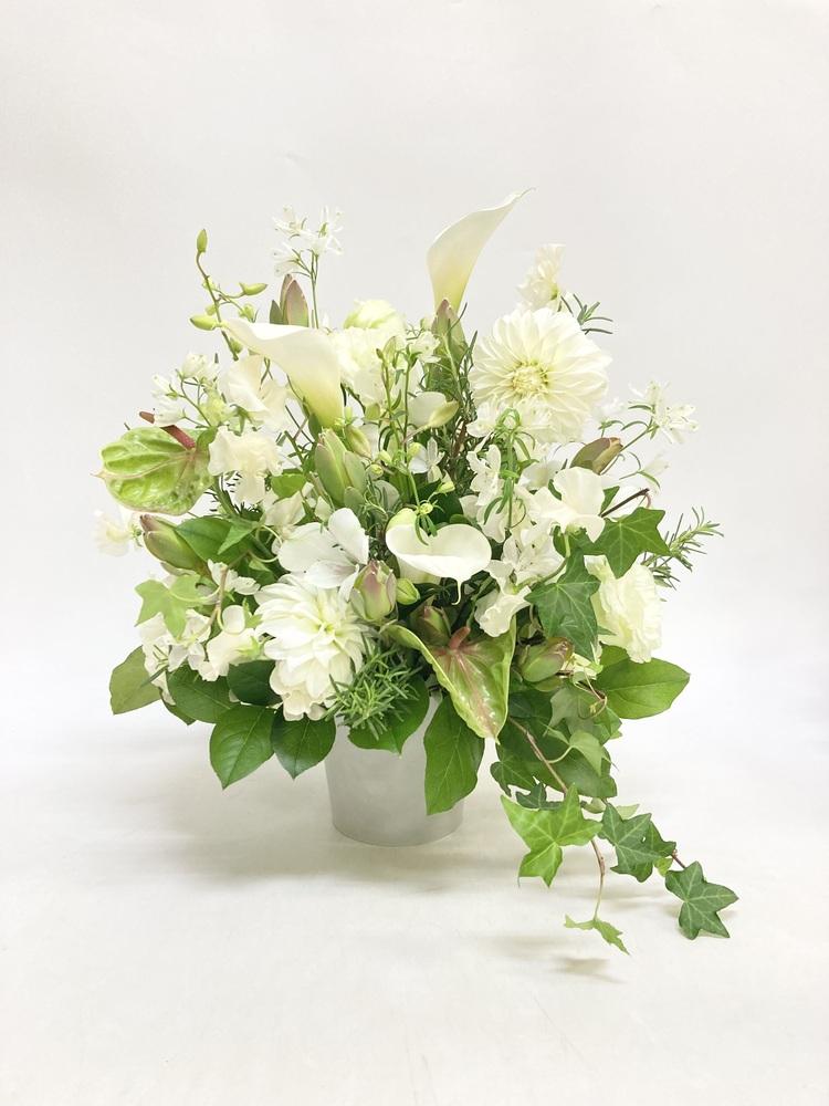 季節のおまかせ生花アレンジ L - グリーン&ホワイト - - Image 37