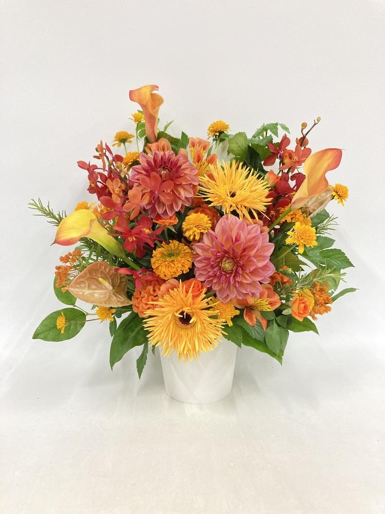 季節のおまかせ生花アレンジ L - オレンジ - - Image 30