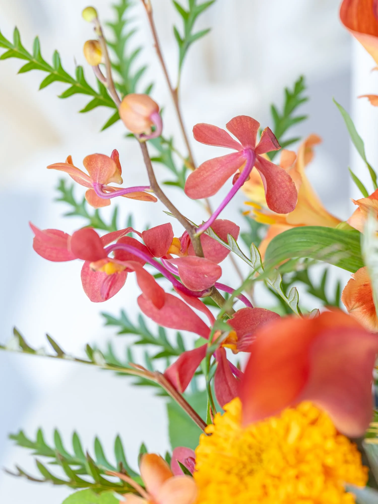 季節のおまかせ生花アレンジ M - オレンジ - - Image 9