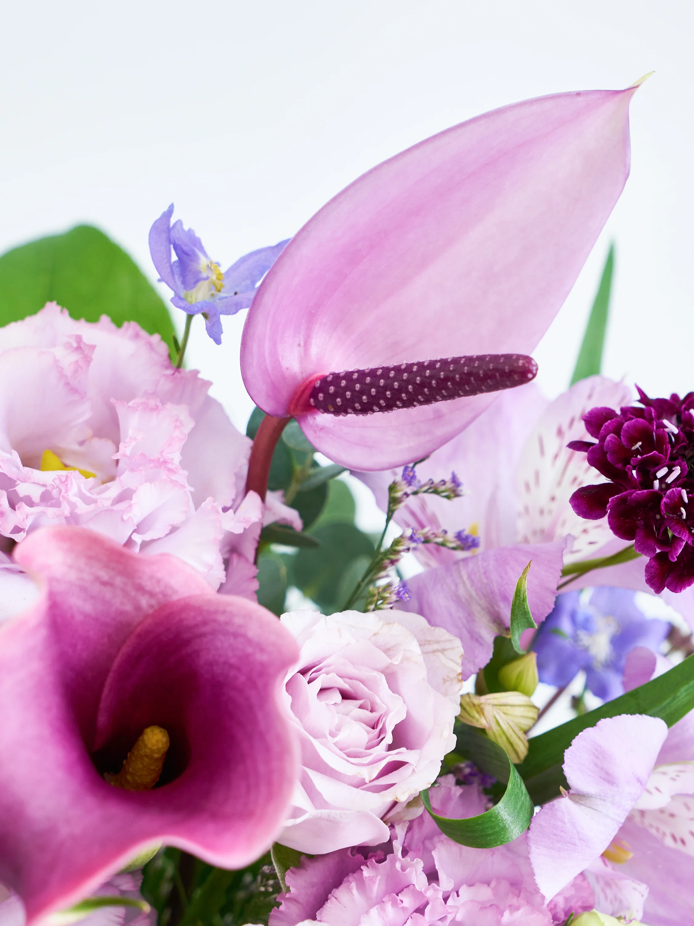 季節のおまかせ生花アレンジ M - パープル - - Image 8