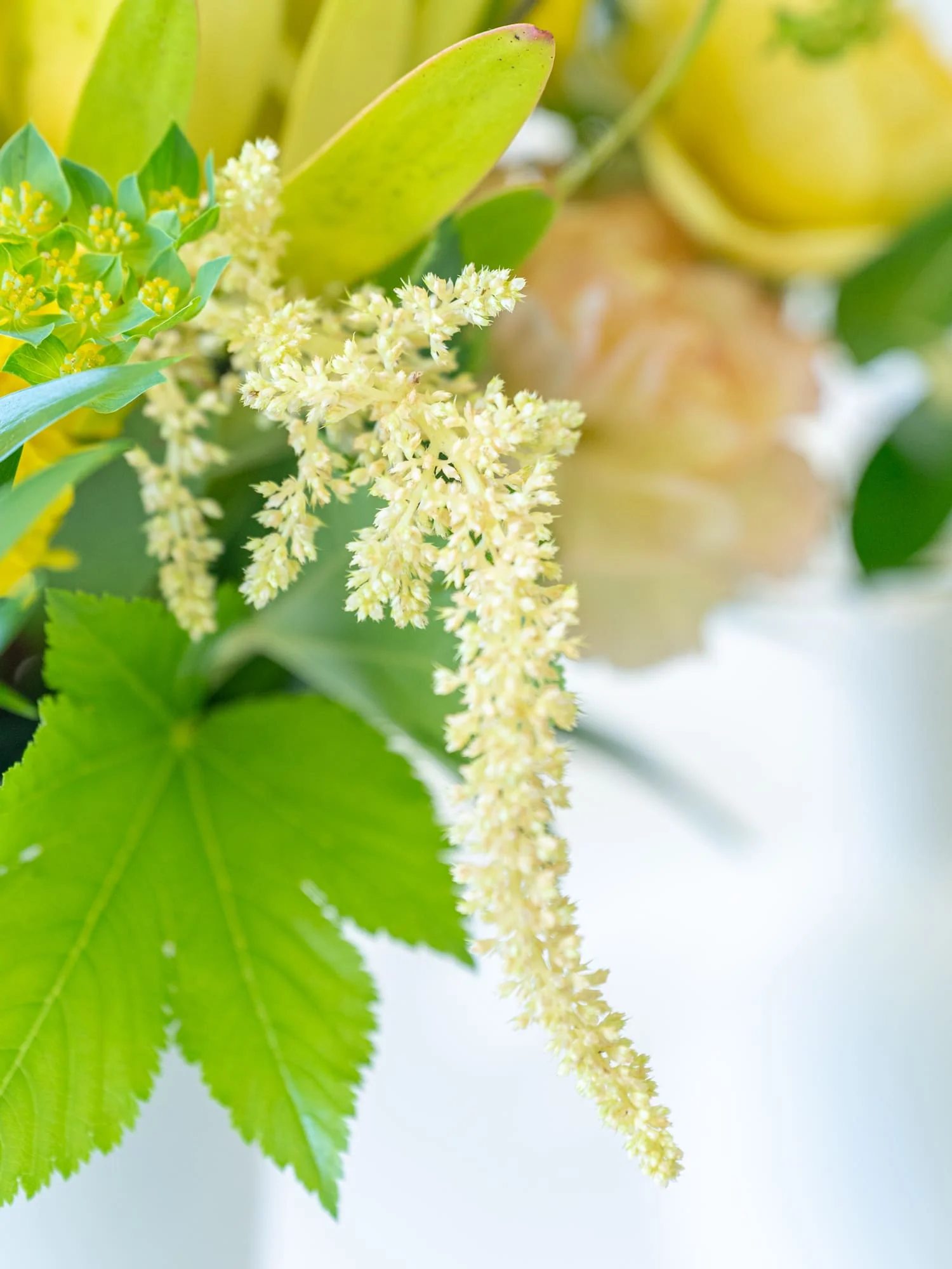 季節のおまかせ生花アレンジ L - イエロー - - Image 7