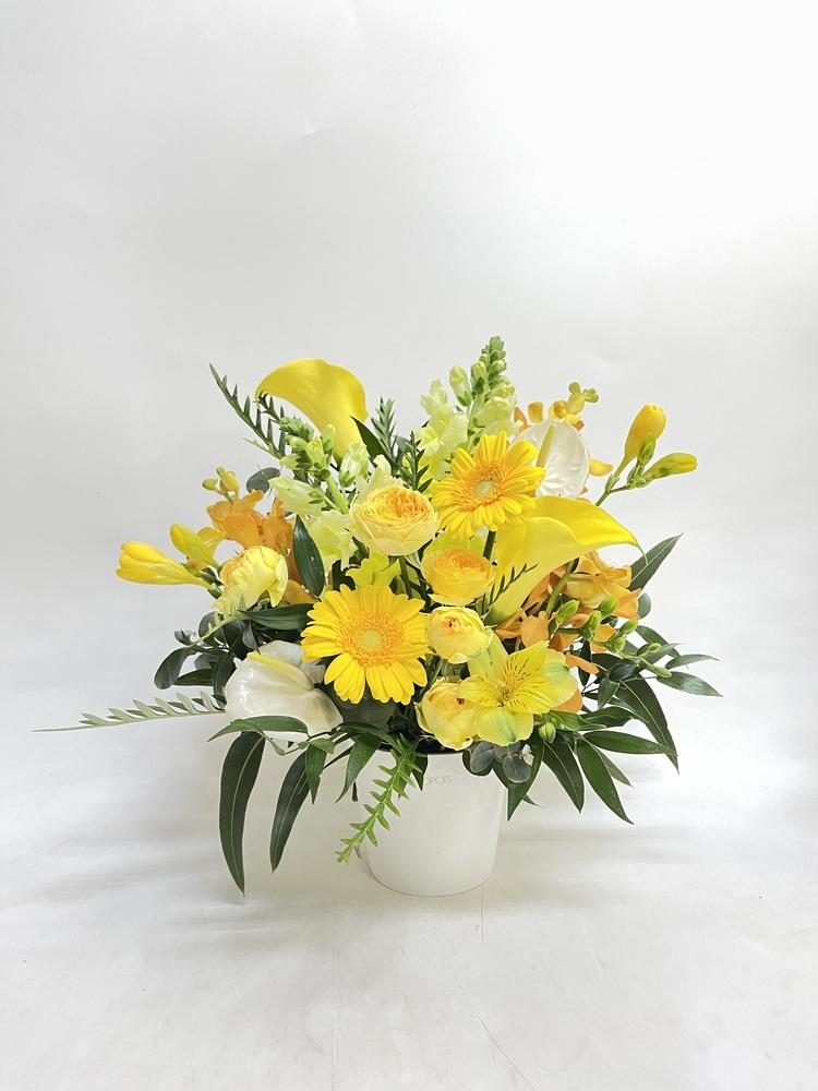 季節のおまかせ生花アレンジ M - イエロー - - Image 22