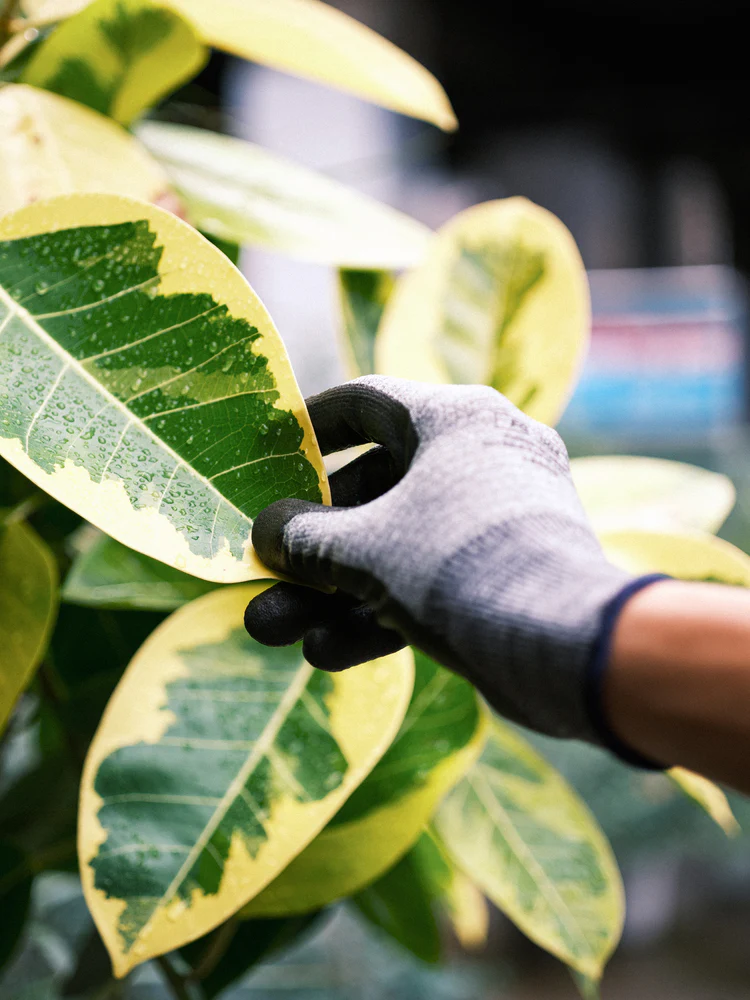 tet. workers gloves - Image 5
