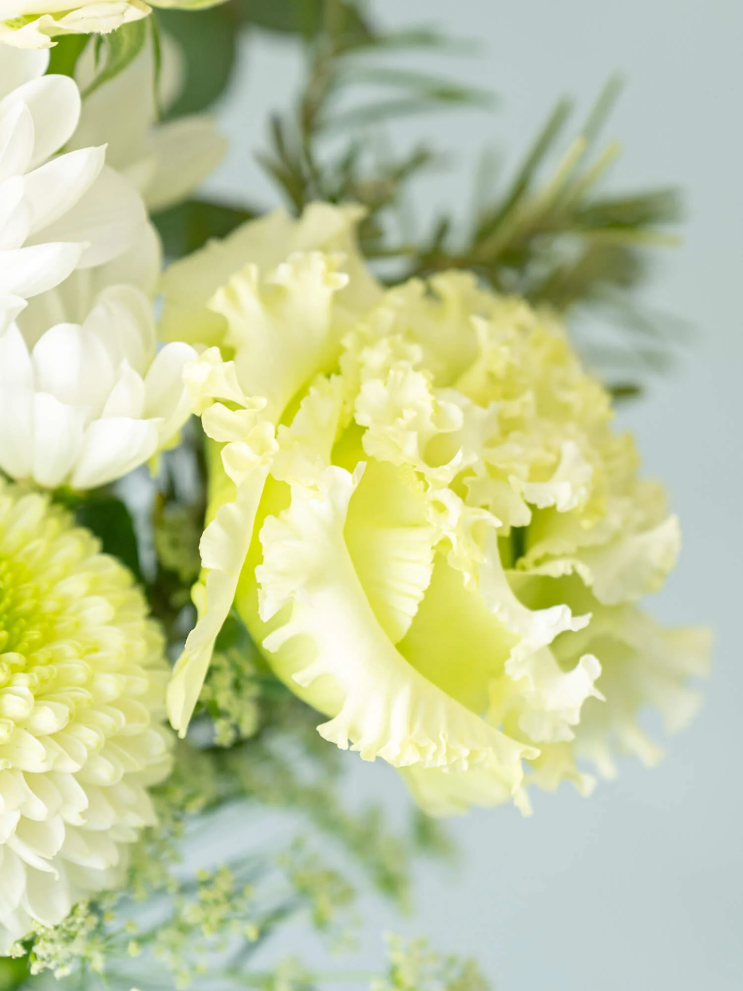 【お供え用】季節の花束 S - ホワイト - - Image 13