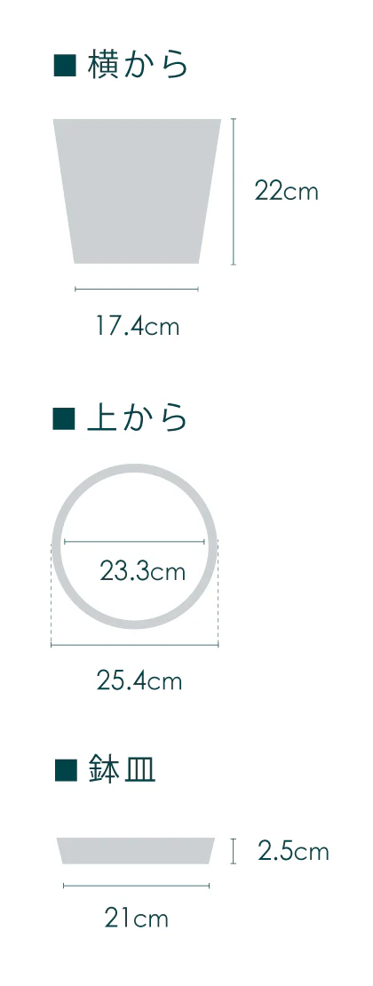ココヤシ M - Image 8
