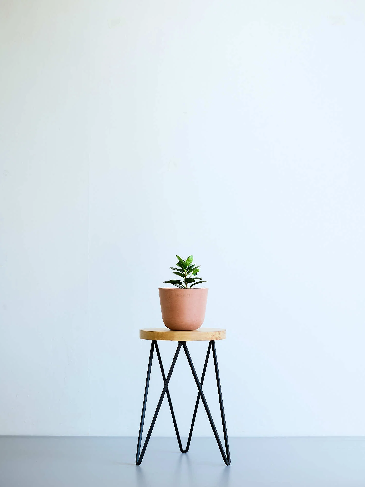 Plant Stand Iron - S - Image 13