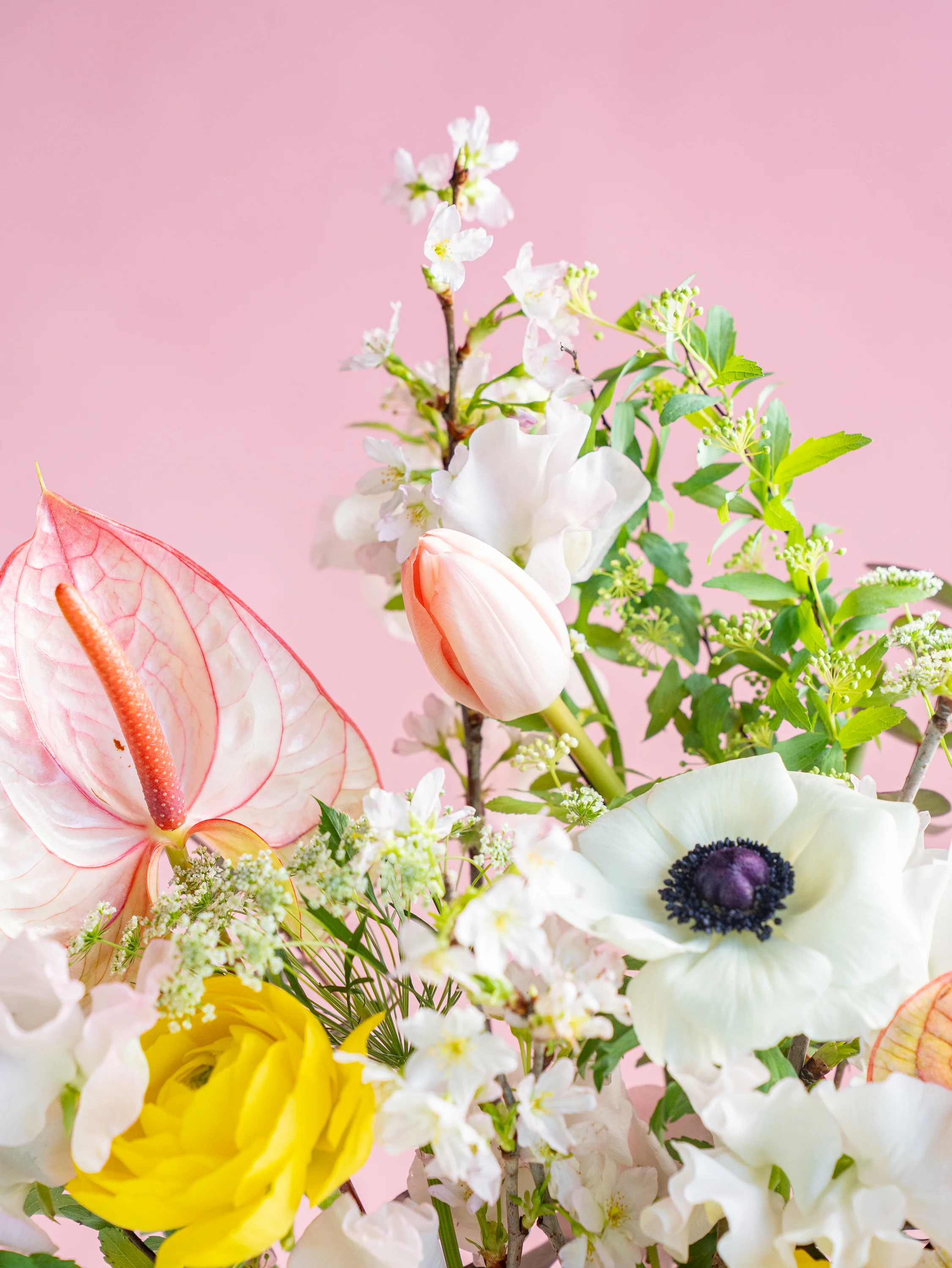 【スプリング】アネモネとチューリップの春色の生花の花束 L - Image 10