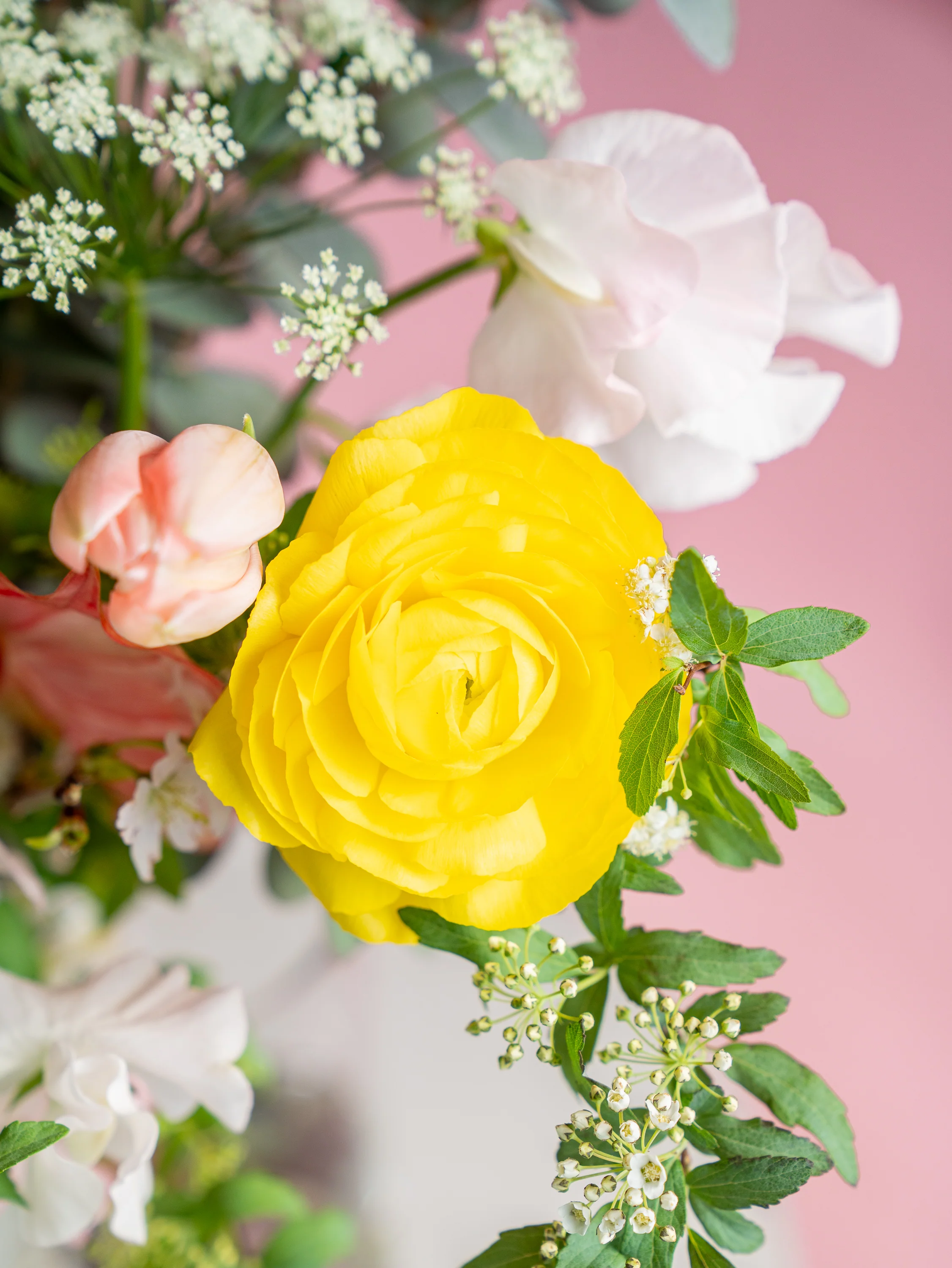 【スプリング】アネモネとチューリップの春色の生花の花束 L - Image 14