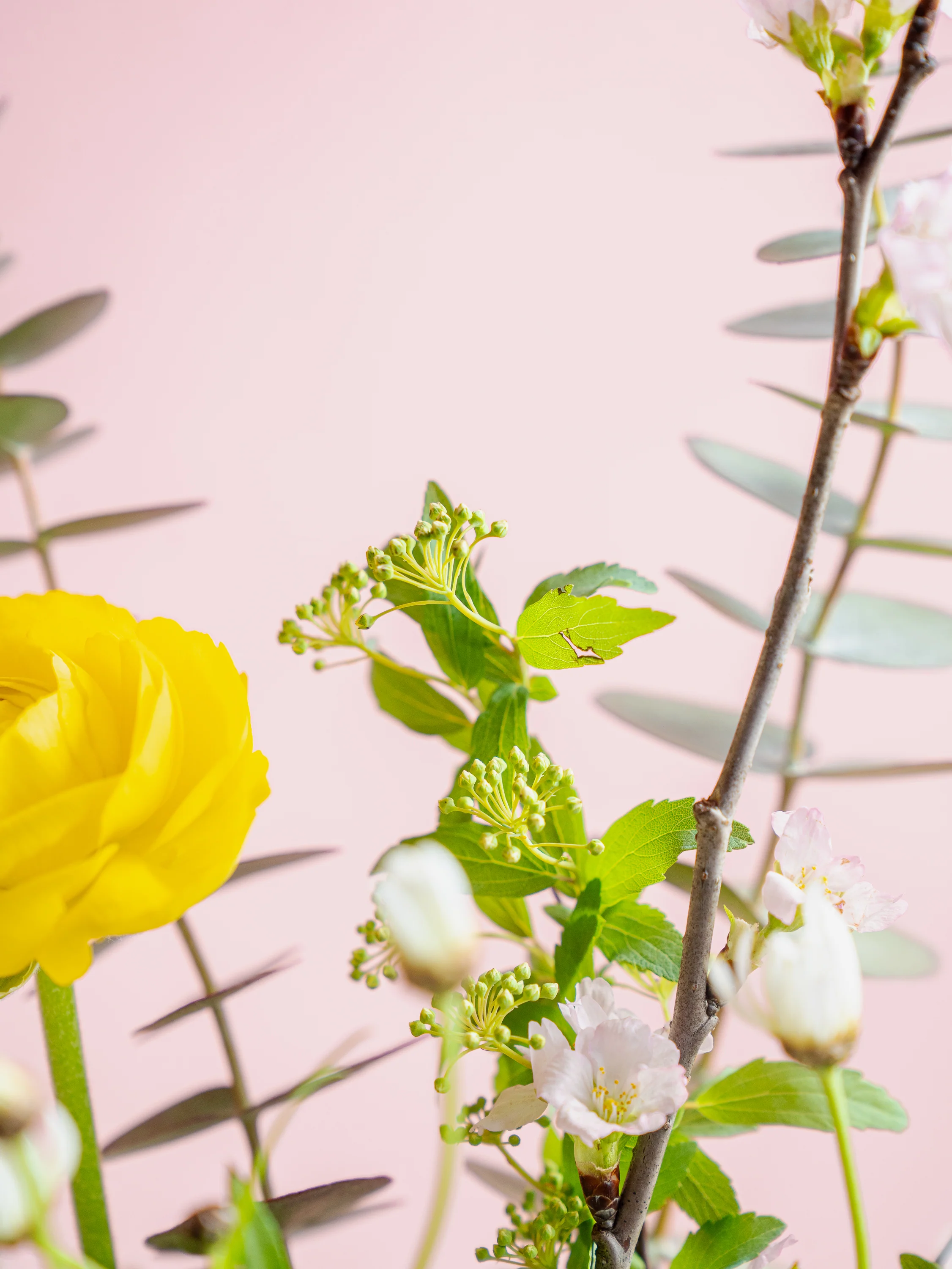 【スプリング】アネモネとチューリップの春色の生花の花束 M - Image 7