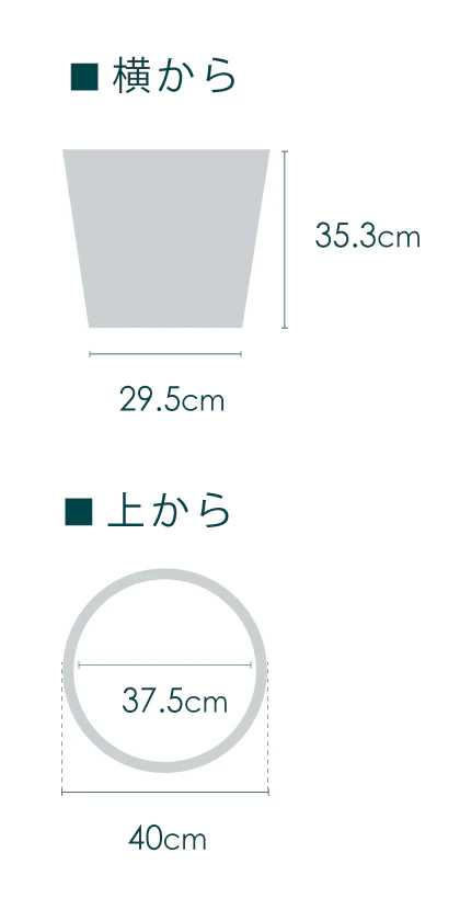 フィカス・ソフィア XL - Image 29