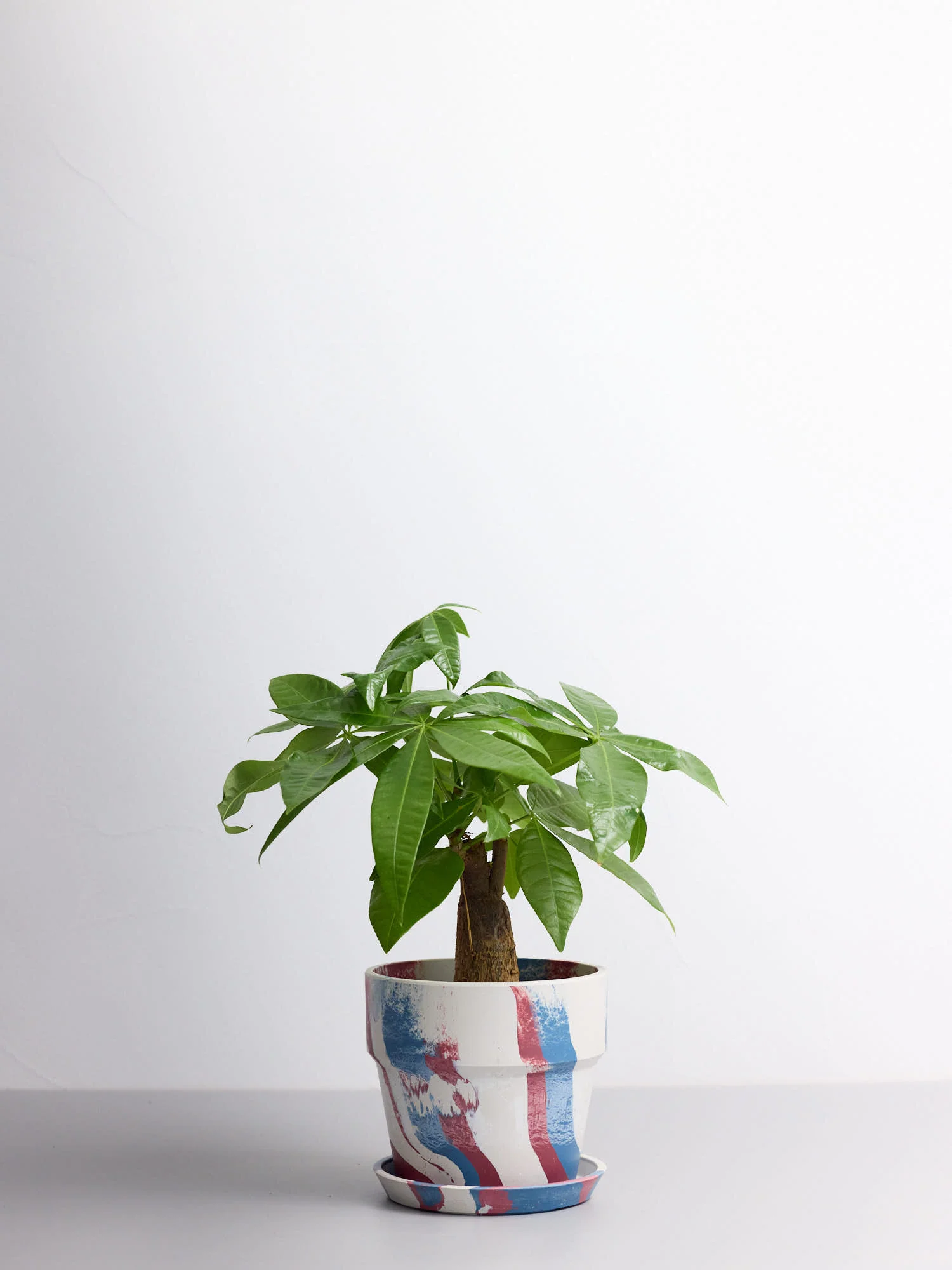 アーバンプランツポット トリコロール Table-M - Image 2