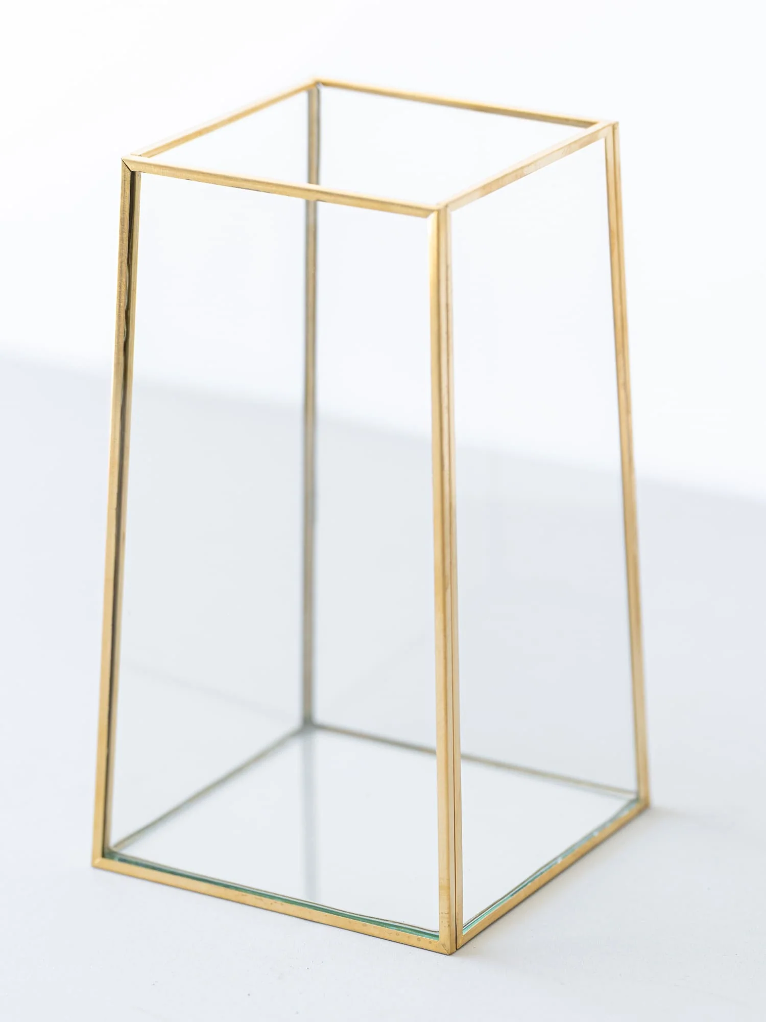 Solid - Image 2