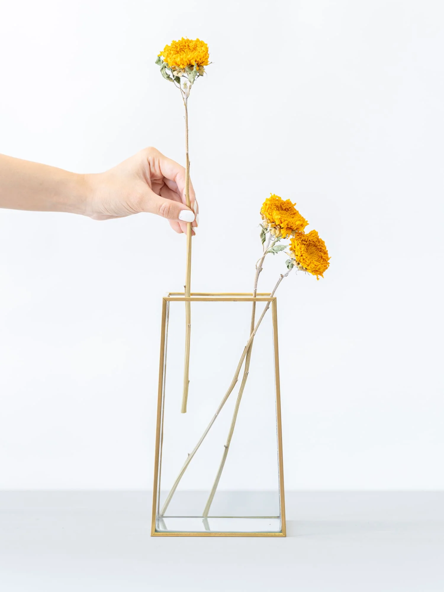 Solid(同時購入用) - Image 5
